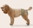 Load image into Gallery viewer, Snooza - Washable Dog Nappy - Twin Pack for Female Dogs
