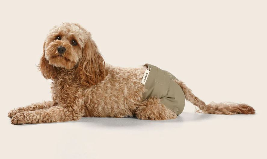 Snooza - Washable Dog Nappy - Twin Pack for Female Dogs