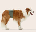 Load image into Gallery viewer, Snooza - Washable Dog Nappy Band - Twin Pack for Male Dogs
