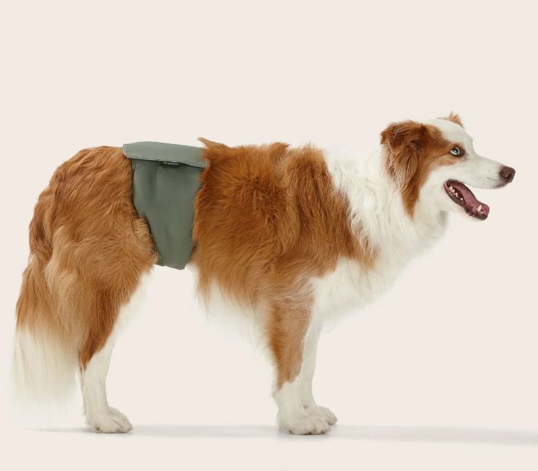 Snooza - Washable Dog Nappy Band - Twin Pack for Male Dogs