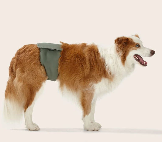 Snooza - Washable Dog Nappy Band - Twin Pack for Male Dogs