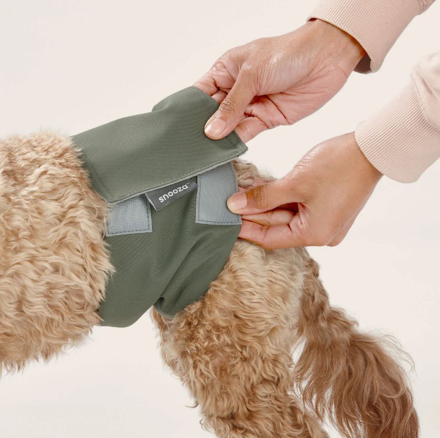 Snooza - Washable Dog Nappy Band - Twin Pack for Male Dogs