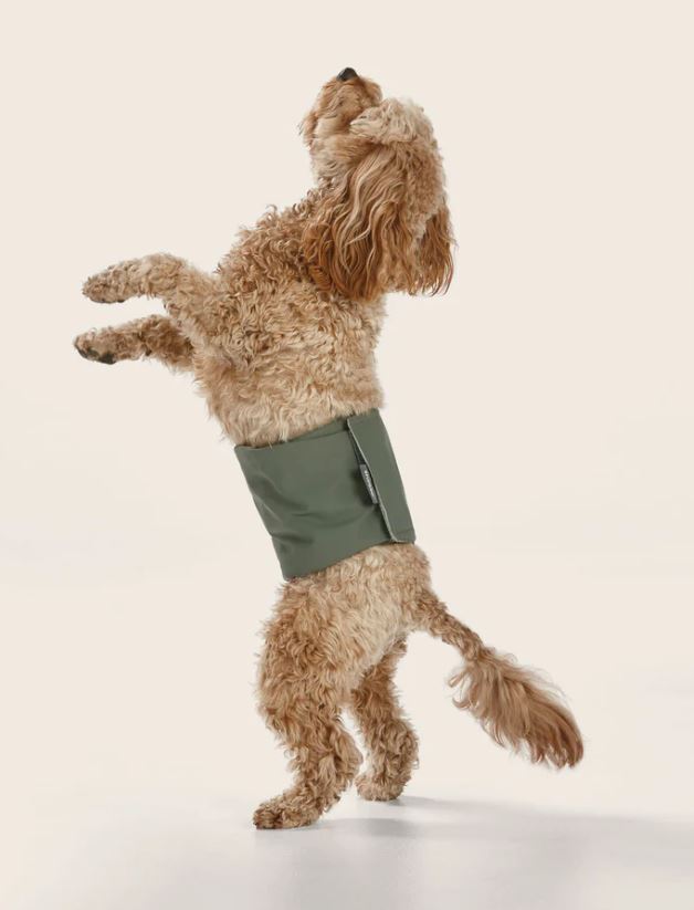 Snooza - Washable Dog Nappy Band - Twin Pack for Male Dogs