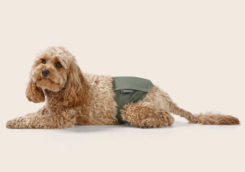 Snooza - Washable Dog Nappy Band - Twin Pack for Male Dogs