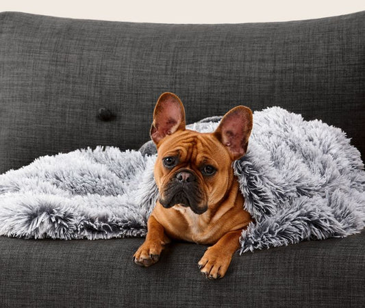 Snooza - Calming Cuddler Blanket - Chinchilla & Silver Fox