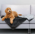 Load image into Gallery viewer, Calming Waterproof Blanket
