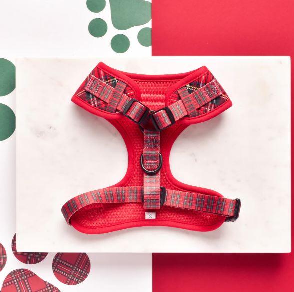 Cocopup London - Tartan Adjustable Neck Harness