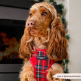 Load image into Gallery viewer, Cocopup London - Tartan Adjustable Neck Harness
