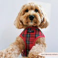 Load image into Gallery viewer, Cocopup London - Tartan Adjustable Neck Harness
