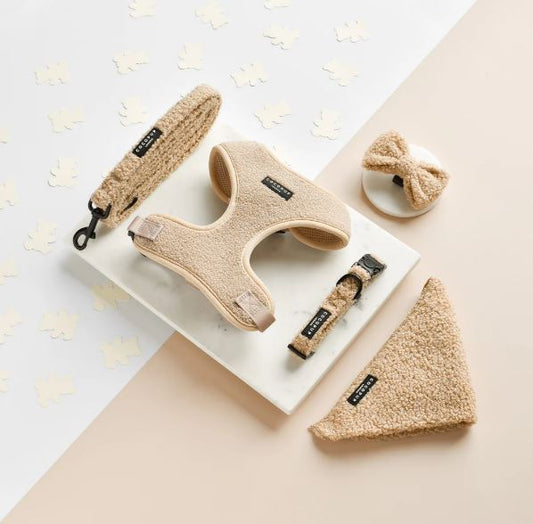 Cocopup London - 🧸 Teddy Rupert Lead