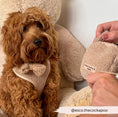 Load image into Gallery viewer, Treat Pouch – Teddy Rupert
