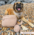 Load image into Gallery viewer, Treat Pouch – Teddy Rupert

