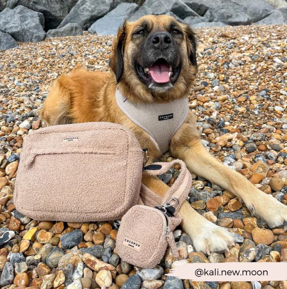 Treat Pouch – Teddy Rupert