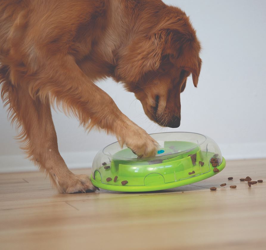 Outward Hound - Nina Ottosson - Dog Wobble Bowl (Level 1)
