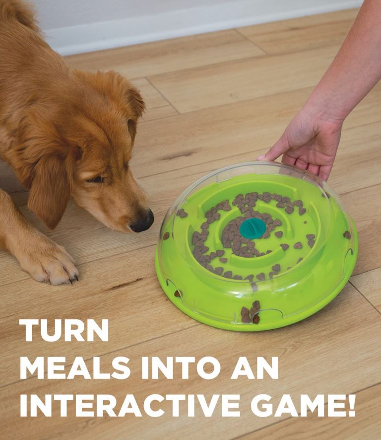 Outward Hound - Nina Ottosson - Dog Wobble Bowl (Level 1)