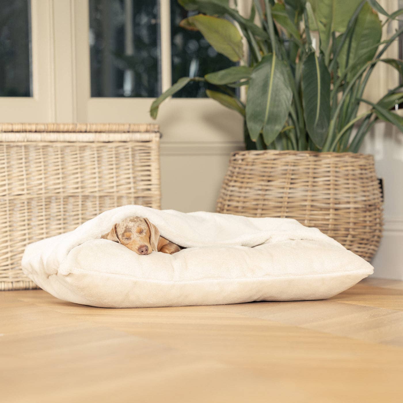 Lords and Labradors - Sleepy Burrows Bed in Calming Anti-Anxiety Cream Faux Fur: No / XL