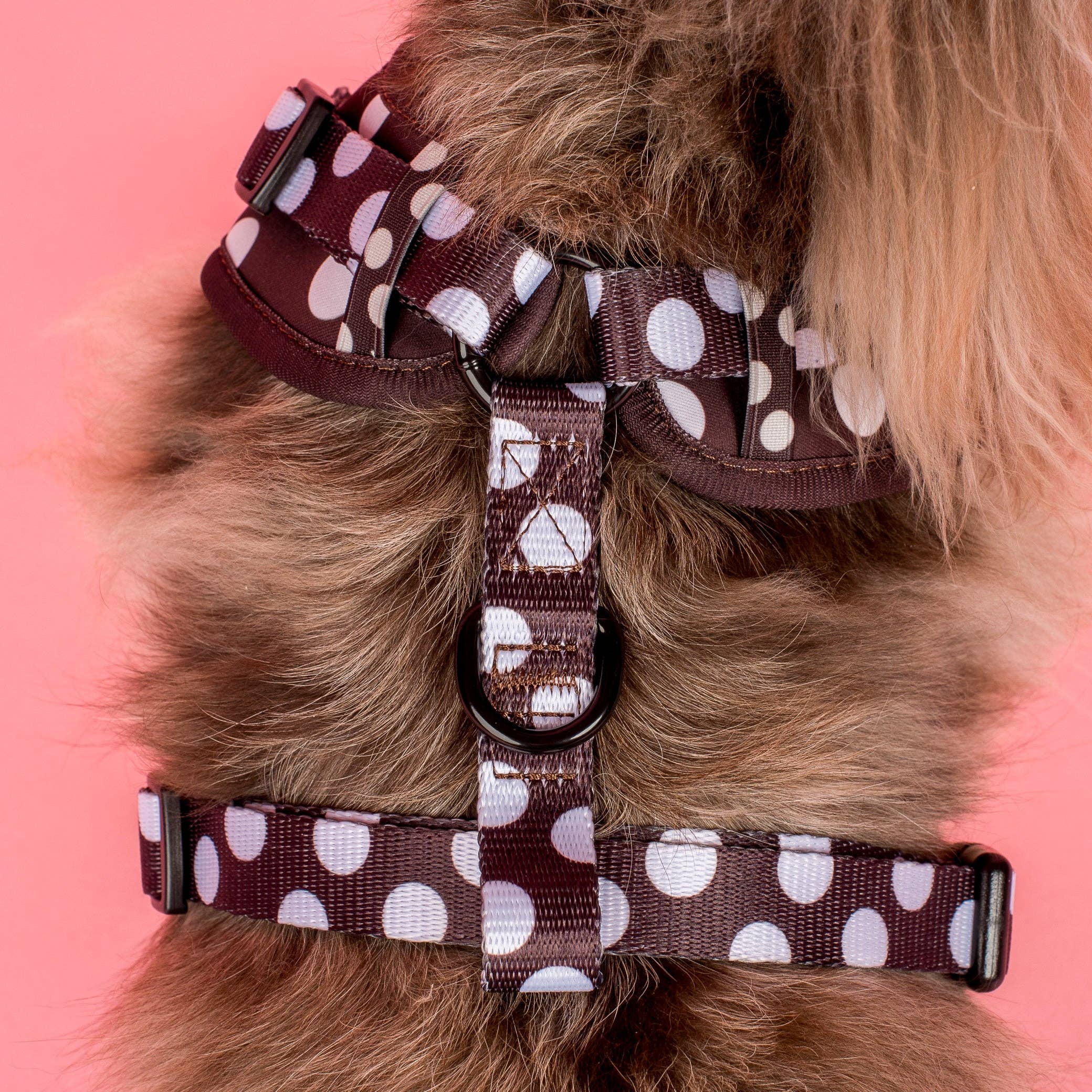 Pablo & Co. Boutique - Polka Dots: Adjustable Harness: XS