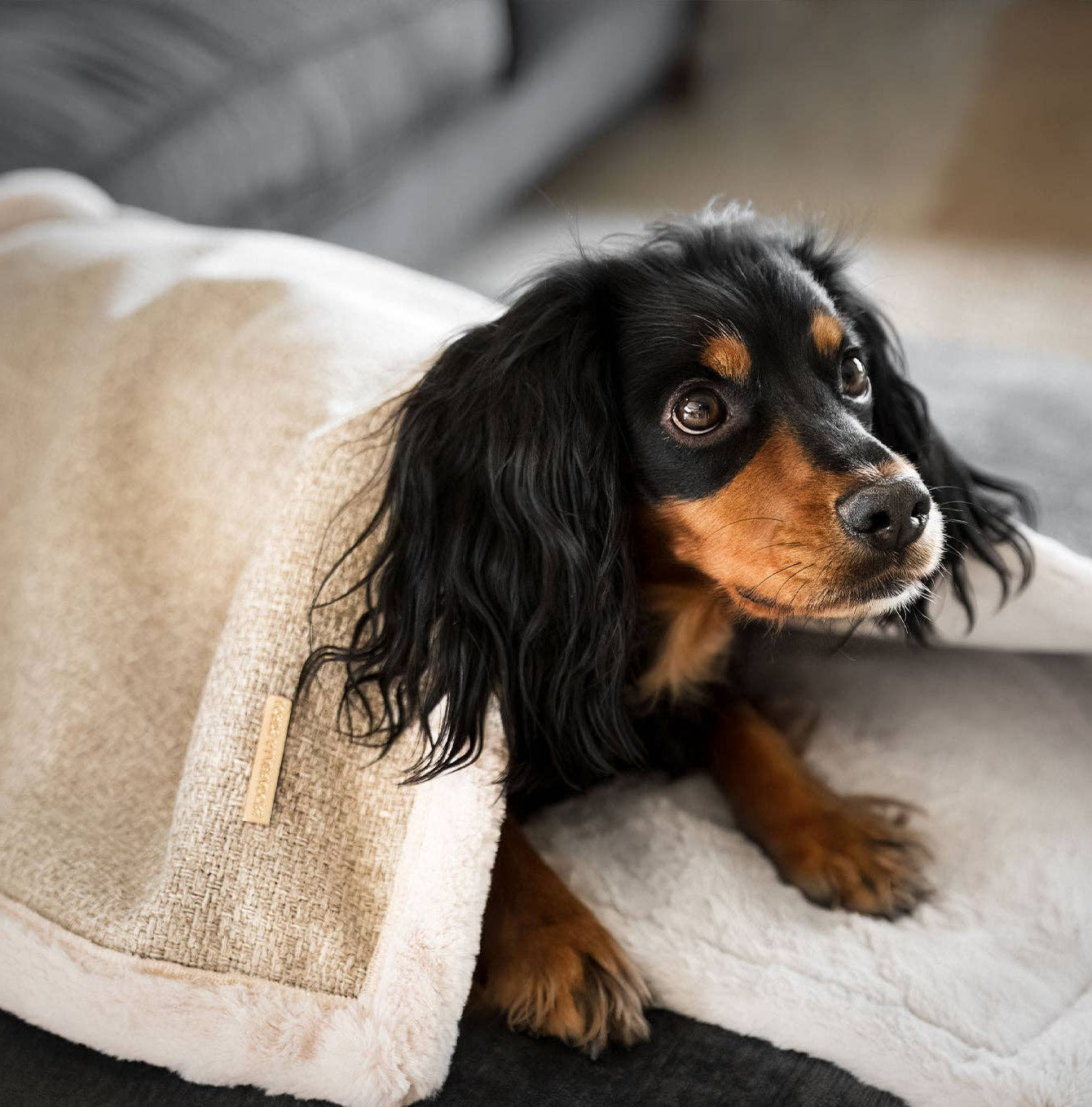 Essentials Herdwick Blanket in Sandstone