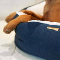 Load image into Gallery viewer, Essentials Twill Box Bed in Denim
