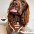 Load image into Gallery viewer, Brown Aviator Adjustable Neck Harness
