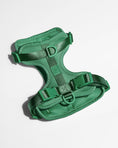 Load image into Gallery viewer, Wild One - Harness: Moonstone / MEDIUM
