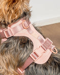 Load image into Gallery viewer, Wild One - Harness: Moonstone / MEDIUM
