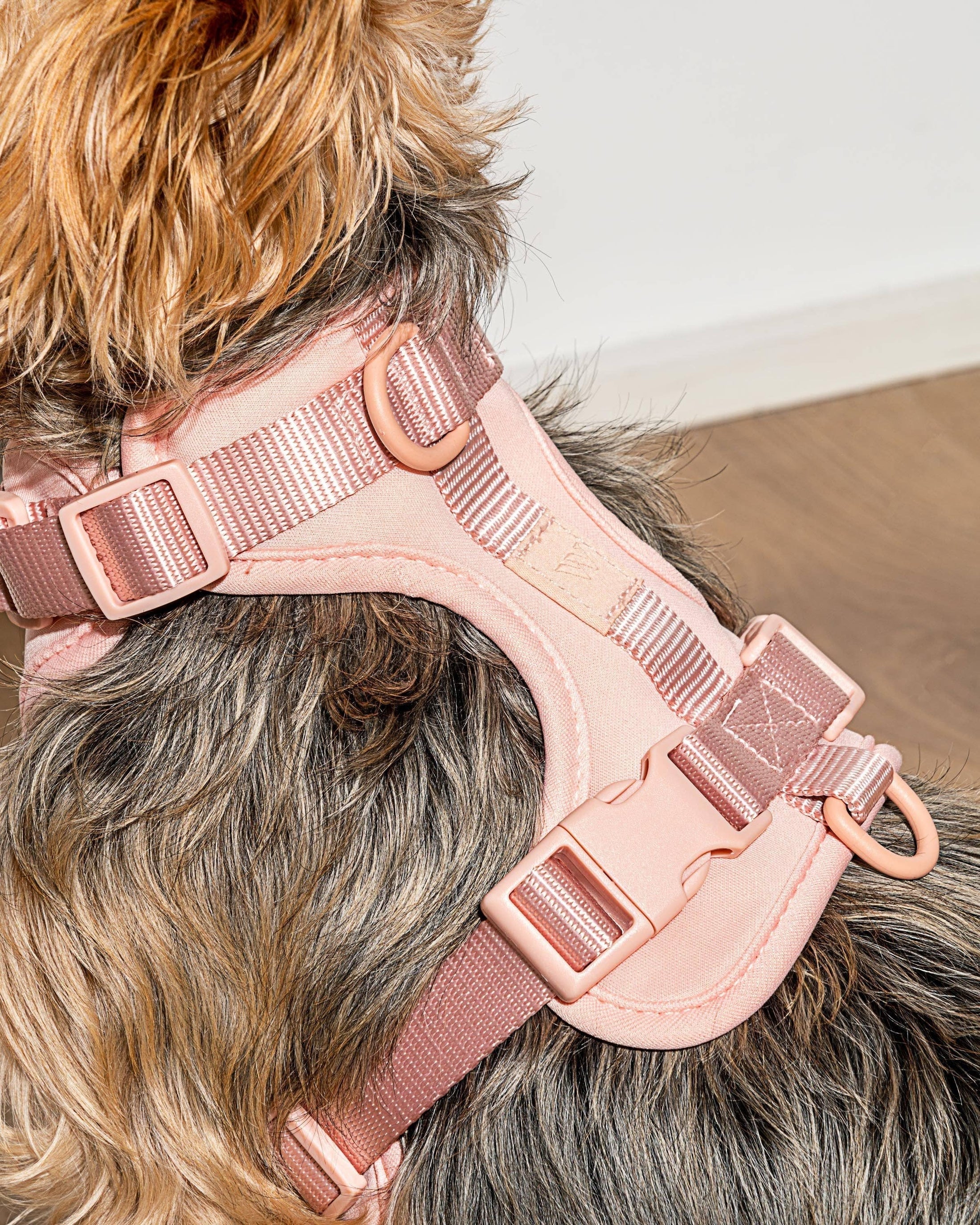 Wild One - Harness: Moonstone / MEDIUM