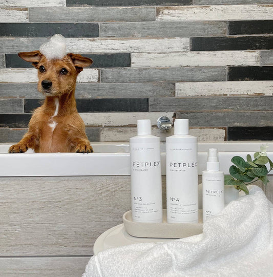 Lords and Labradors - PetPlex Dirt Defeater Collection