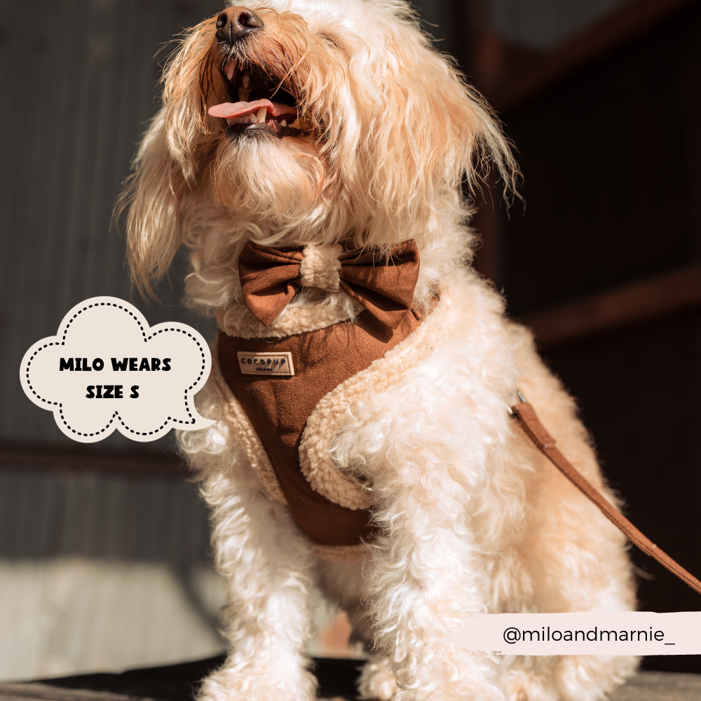 Brown Aviator Adjustable Neck Harness