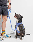 Load image into Gallery viewer, Poop Bag Carrier: Moonstone
