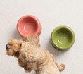 Load image into Gallery viewer, Soufflé Pet Bowl - Avocado Green
