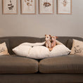Load image into Gallery viewer, Lords and Labradors - Sleepy Burrows Bed in Calming Anti-Anxiety Cream Faux Fur: No / XL
