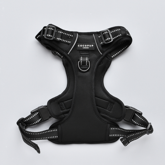 Cocopup London -🖤Explore Harness - NAKD Liquorice