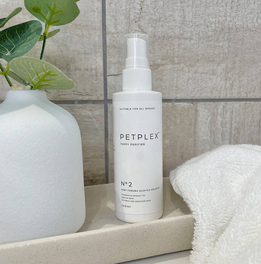 Lords and Labradors - PetPlex Puppy Purifier Collection
