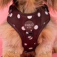 Load image into Gallery viewer, Polka Dots: Adjustable Harness
